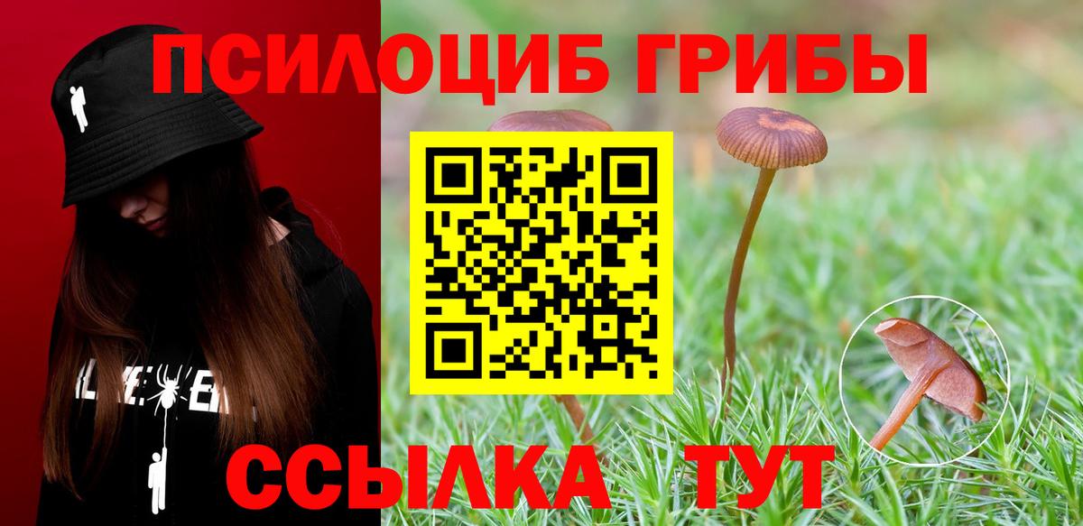 Галлюциногенные грибы Cubensis Нурлат
